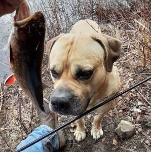 Meet your Posher, Jon